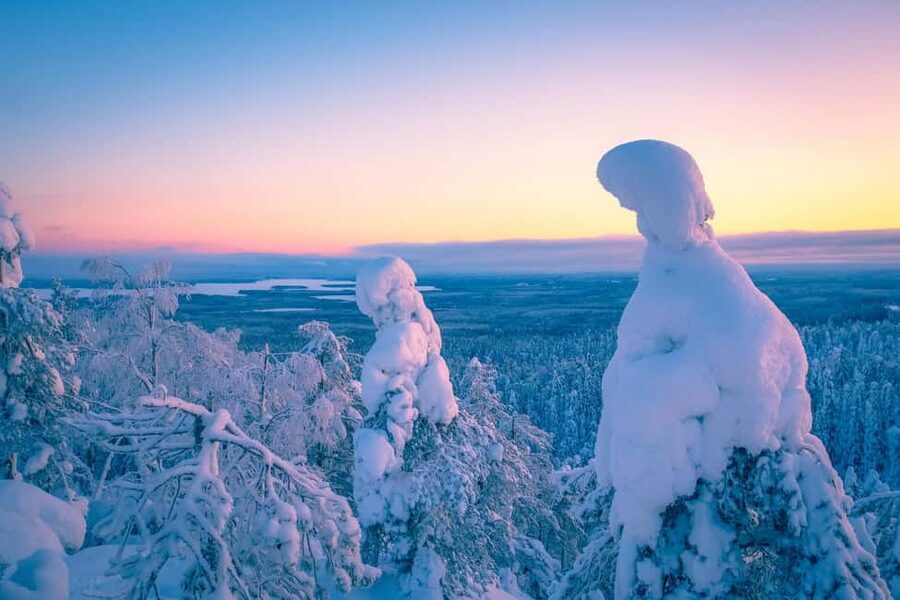 Rovaniemi: Riisitunturi Guided Hike with Photography and BBQ - Key Highlights You’ll Care About