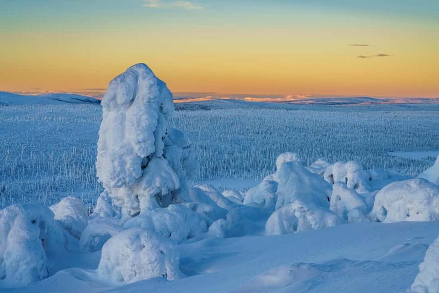 Rovaniemi: Riisitunturi Guided Hike with Photography and BBQ - Riisitunturi From Rovaniemi: What Makes This Day Trip Special