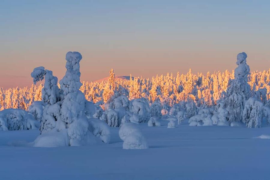 Rovaniemi: Riisitunturi Guided Hike with Photography and BBQ - Riisitunturi National Park: The 4.3 km Guided Hike and Views