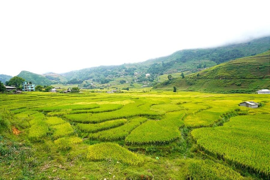 Sa Pa: Half-Day Cat Cat Village Hike to Meet H'mong People - The H’mong dance show: culture you can actually watch