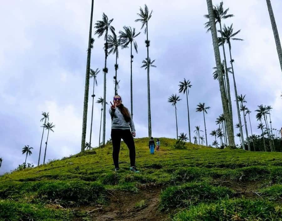 Salento/Pereira: Cocora Valley & Salento Hiking Private Tour - Key moments worth marking on your map