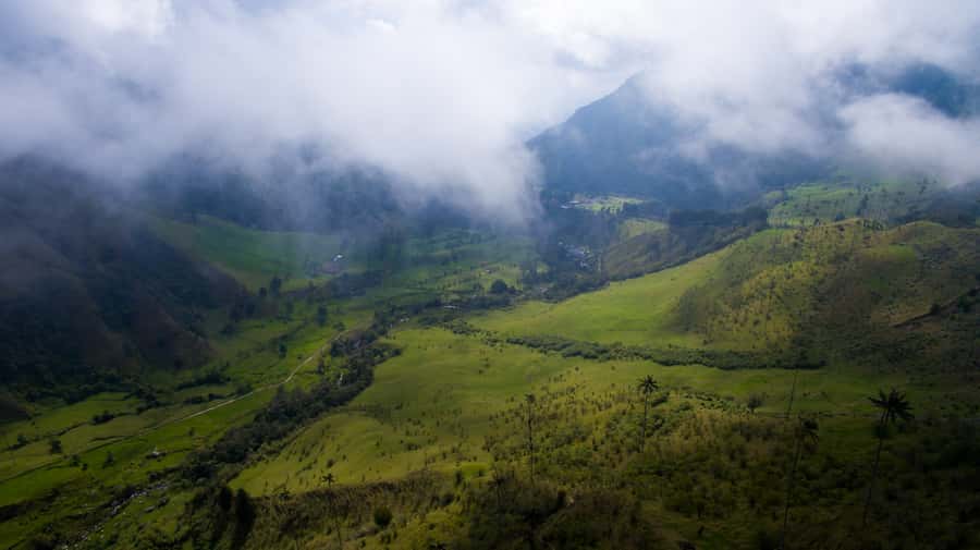 Salento/Pereira: Cocora Valley & Salento Hiking Private Tour - Valle del Cocora’s wax palms: what you’re really paying for