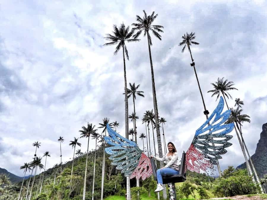 Salento/Pereira: Cocora Valley & Salento Hiking Private Tour - The 6-hour trek through Cocora: route rhythm, viewpoints, and photo control