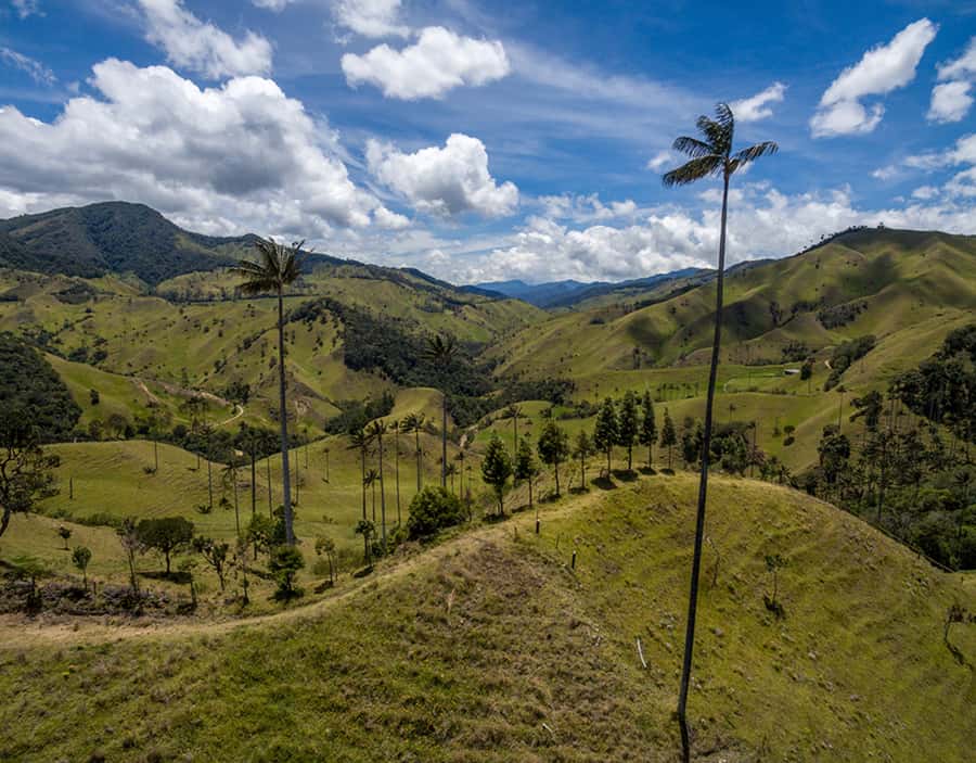 Salento/Pereira: Cocora Valley & Salento Hiking Private Tour - Salento pickup and guided town time: arriving with context
