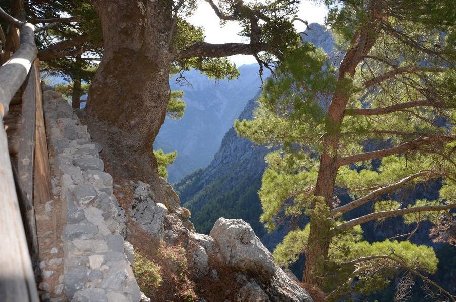 Samariá Gorge Hike: Day Excursion from Chania - Why Samariá Gorge Is Worth a Full-Day Walk