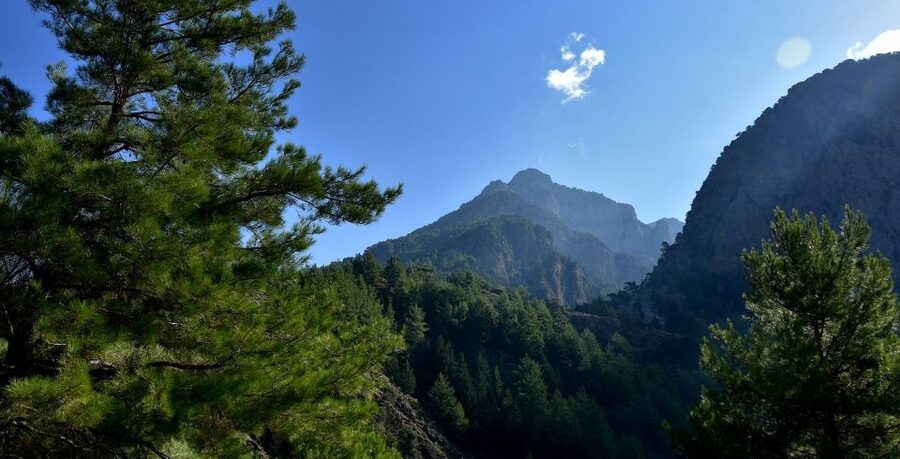 Samariá Gorge Hike: Day Excursion from Chania - Guides Matter: Local Interpretation in English