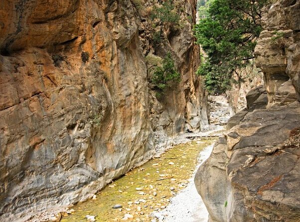 Samaria Gorge Hiking from Chania with Professional Hiking Guide - Agia Roumeli: Beach Time After the Grind
