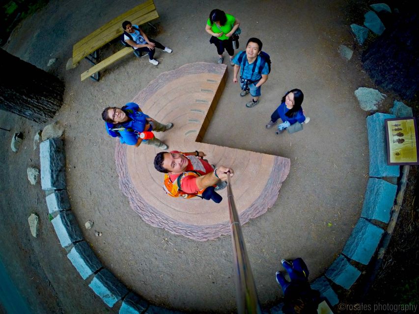 San Francisco: Day Trip to Yosemite with Giant Sequoias Hike - Key moments to know before you go