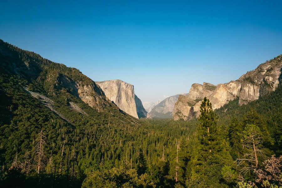 San Francisco: Day Trip to Yosemite with Giant Sequoias Hike - Why this Yosemite day trip works from San Francisco