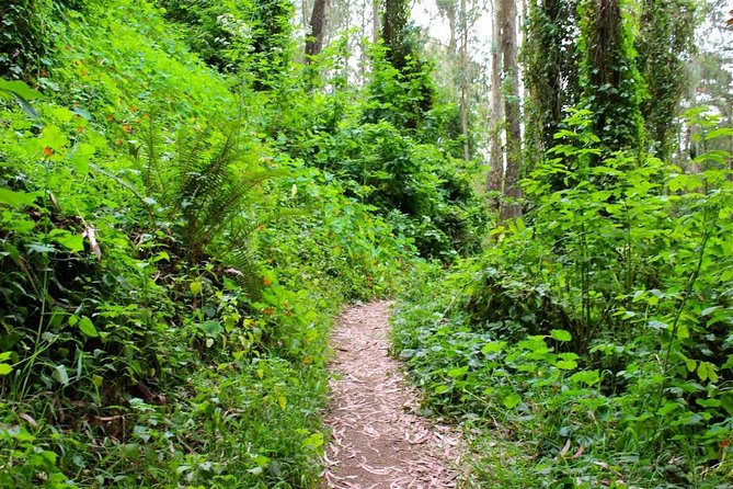 San Francisco Urban Hike: Castro and Twin Peaks - Twin Peaks summit: where the city gets wide open