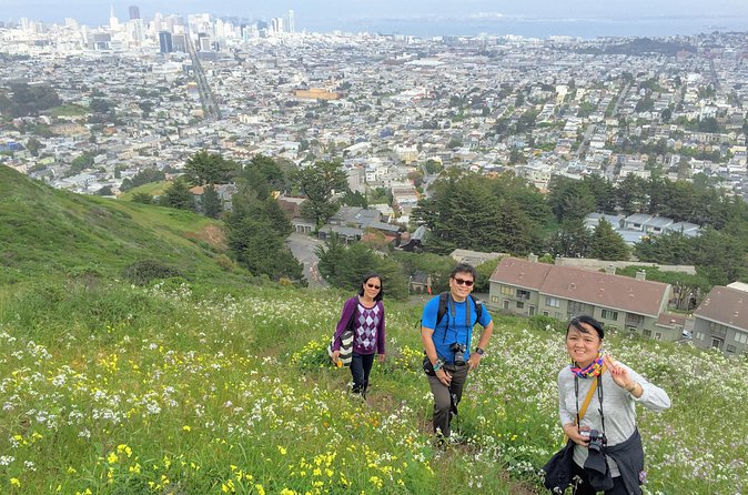 San Francisco Urban Hike: Castro and Twin Peaks - Sutro Tower and the eucalyptus forest: unexpected calm before the next climb