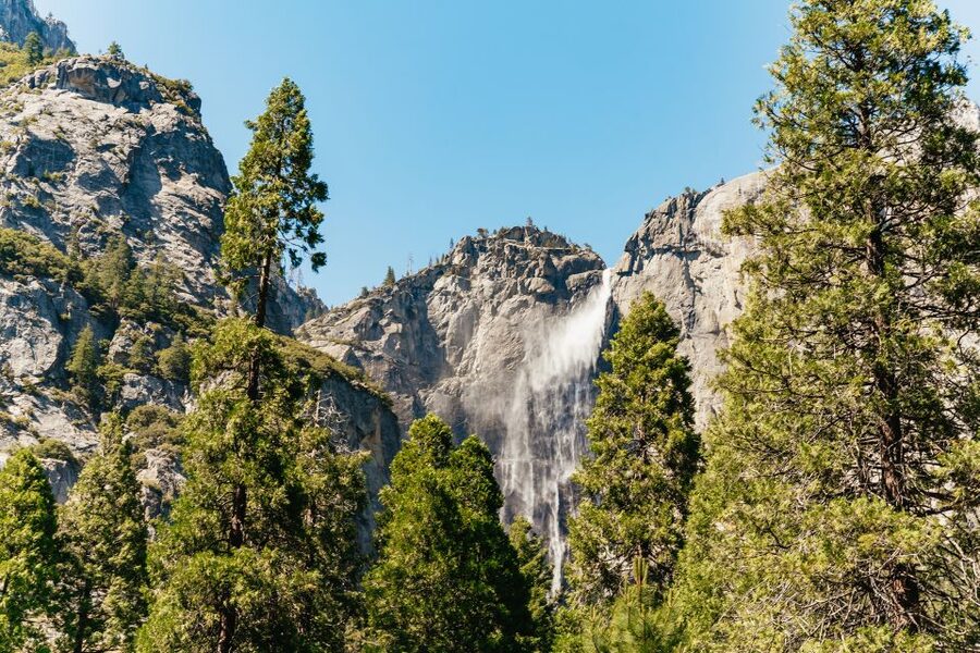 San Francisco: Yosemite National Park & Giant Sequoias Hike - Price and value: Why $219 can work (and what to watch)