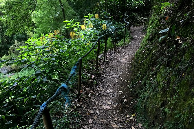 Sanguinho Hike from Ponta Delgada - A half-day escape that still feels meaningful