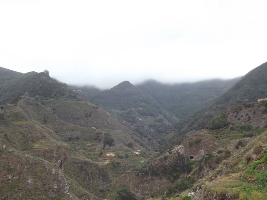 Santa Cruz de Tenerife: 2-Hour Hiking Tour in Anaga Forest - Quick Hits You’ll Appreciate on the Trail