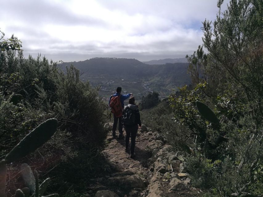 Santa Cruz de Tenerife: 2-Hour Hiking Tour in Anaga Forest - Weather Can Change the Plan: How to Stay Flexible