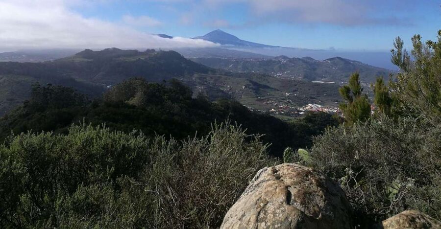 Santa Cruz de Tenerife: 2-Hour Hiking Tour in Anaga Forest - The 2.5-Hour Hike: What You’ll Do From Start to Finish