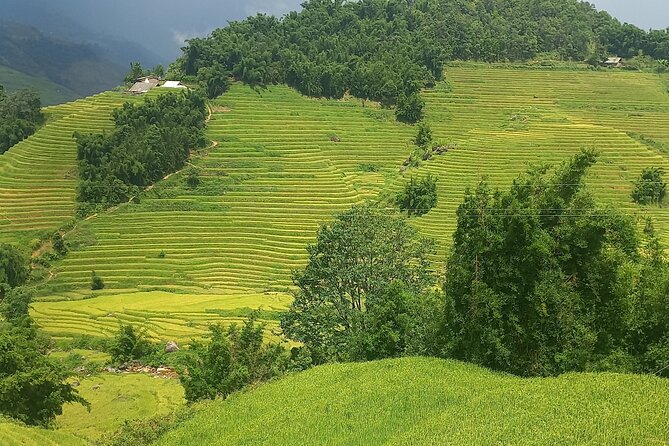 Sapa Trekking / Hiking through Sapa Valley with native Hmong - Where It Starts: Sapa Church at 8:30 am