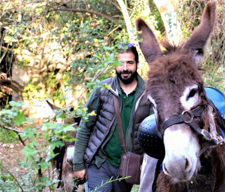 Sassari: hiking with donkeys in Cargeghe and aperitif - Practical Tips Before You Go (That Actually Matter)