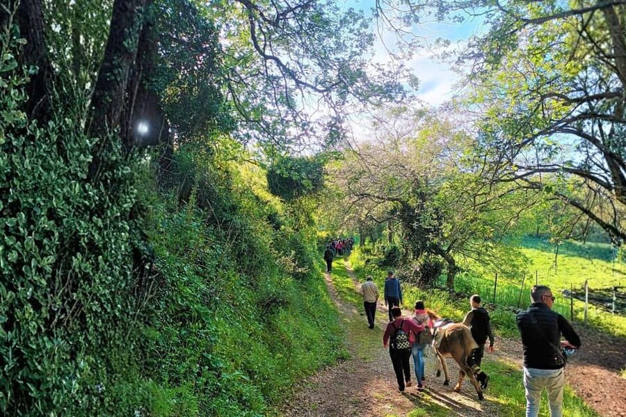 Sassari: hiking with donkeys in Cargeghe and aperitif - Cargeghe Donkey Hike With Aperitif: The Simple Idea That Works