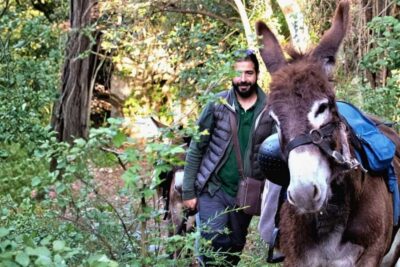 Sassari: hiking with donkeys in Cargeghe and aperitif - Meeting Up and Timing: A 3.5-Hour Plan You Can Fit Into Your Day