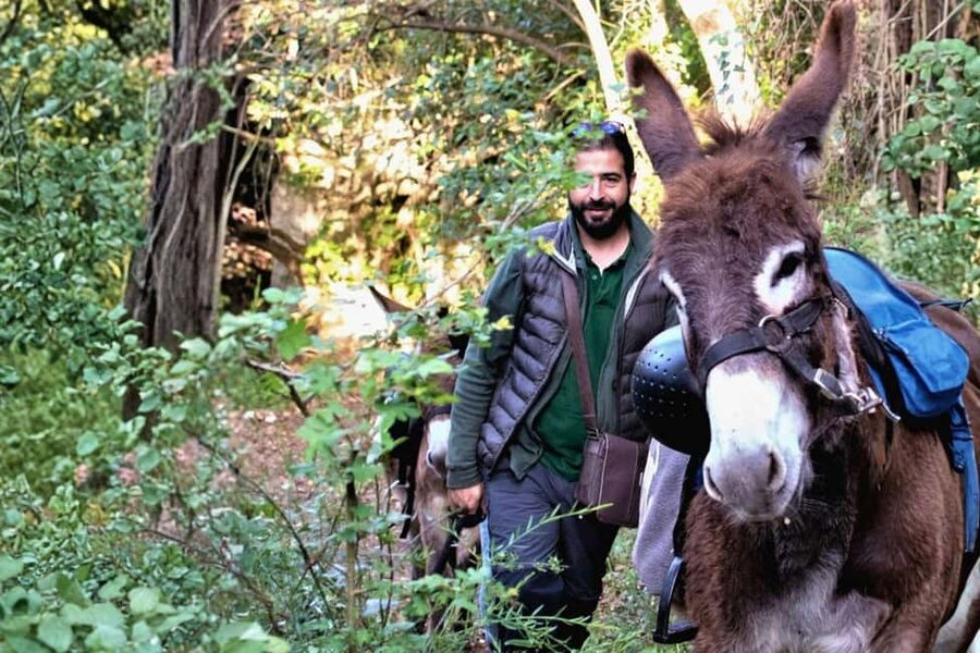 Sassari: hiking with donkeys in Cargeghe and aperitif - Meeting Up and Timing: A 3.5-Hour Plan You Can Fit Into Your Day