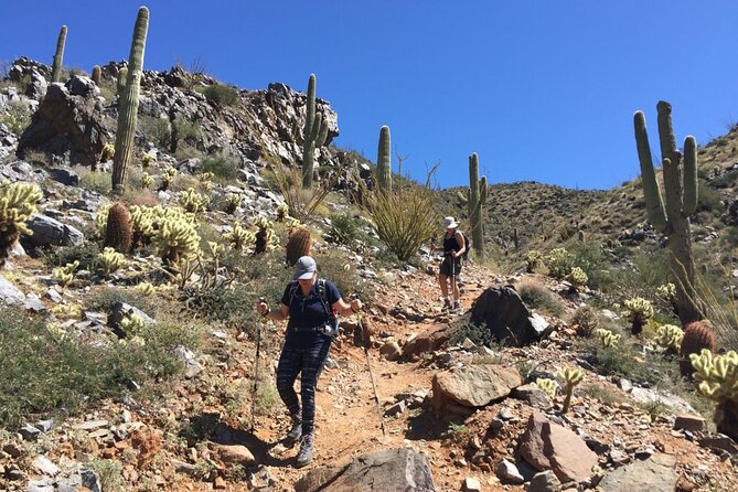 Scottsdale Desert Classic Guided Hiking Adventure - Key Highlights You Should Actually Care About