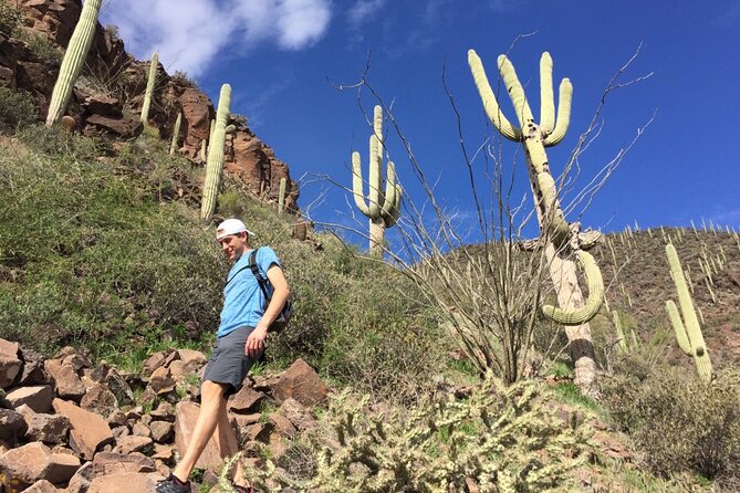 Scottsdale Desert Classic Guided Hiking Adventure - McDowell Sonoran Preserve: the big reason this hike feels worth 3 hours