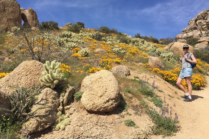 Scottsdale Desert Classic Guided Hiking Adventure - Pace and fitness: moderate effort, real sun, and a smart way to prepare