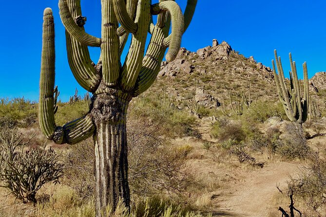 Scottsdale Desert Classic Guided Hiking Adventure - What’s included (and why that changes the value math)