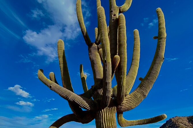 Scottsdale Desert Classic Guided Hiking Adventure - It’s an all-skill-level hike, but not a beginner “no worries” stroll