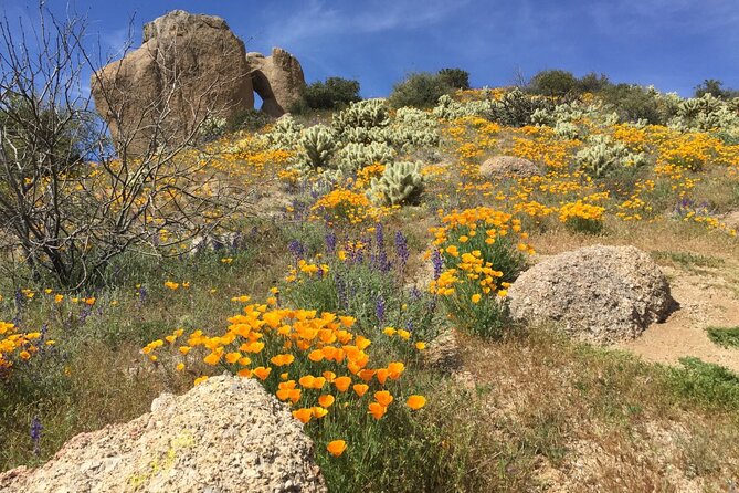 Scottsdale Desert Classic Guided Hiking Adventure - When this tour is a great fit (and when it isn’t)