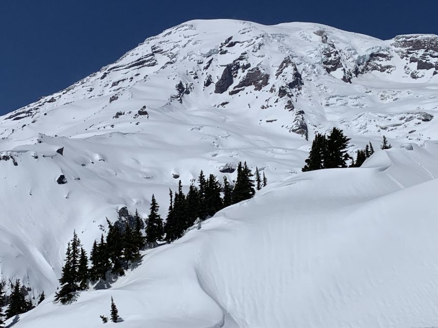 Seattle: Mt. Rainier Park Guided Full-Day Tour - Key highlights to look for