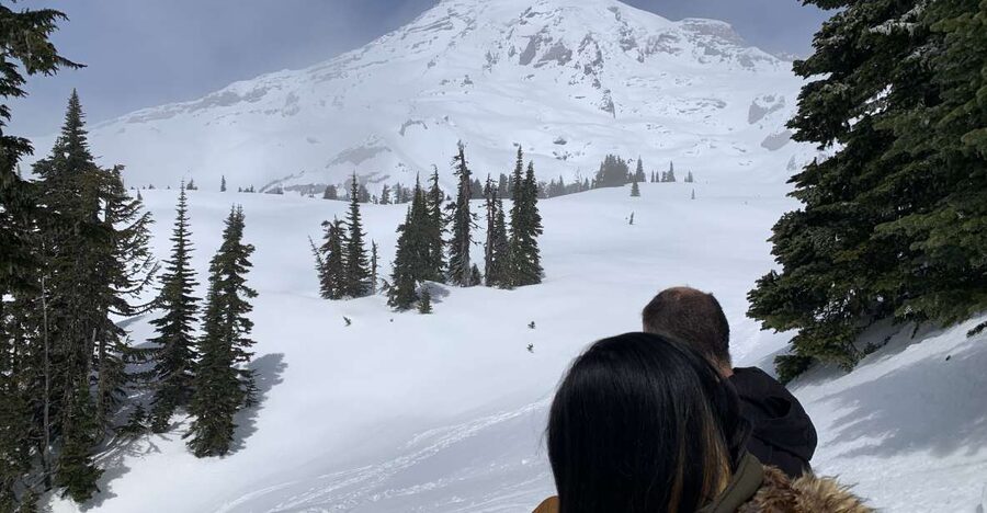 Seattle: Mt. Rainier Park Guided Full-Day Tour - From downtown Seattle to a world of glacier light