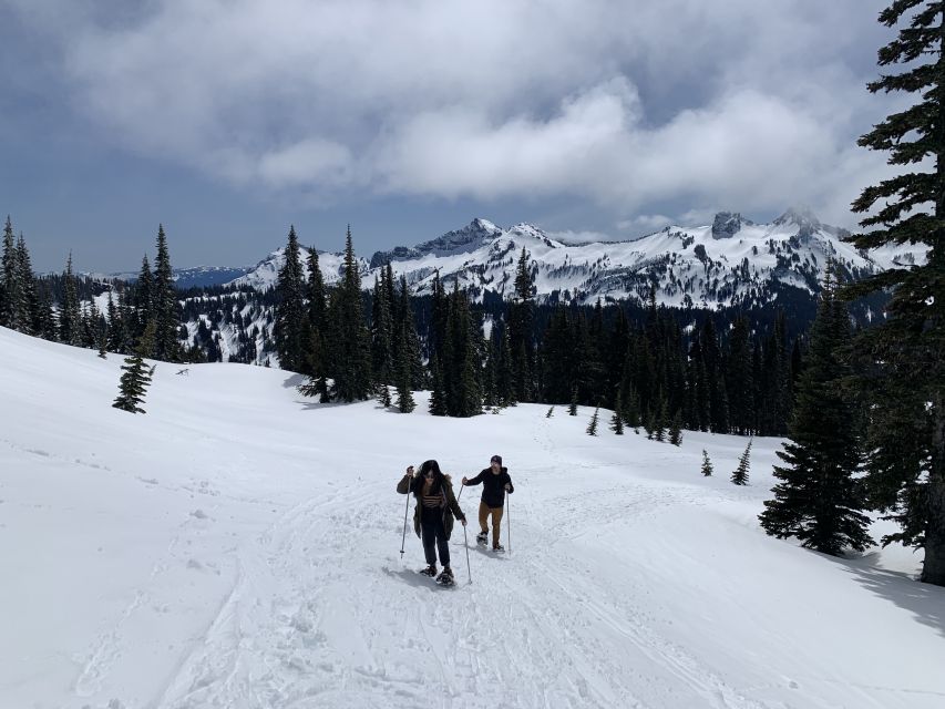 Seattle: Mt. Rainier Park Guided Full-Day Tour - Waterfalls, forest time, and why Rainier feels alive