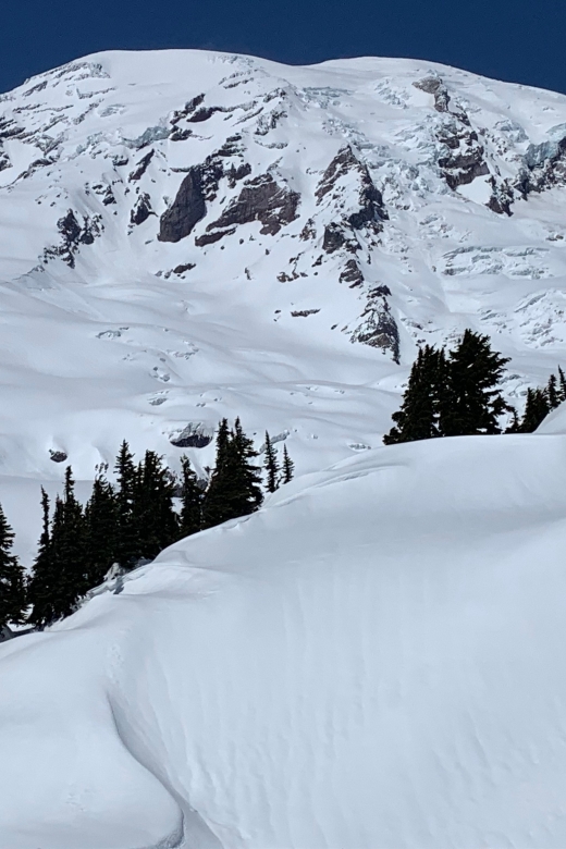 Seattle: Mt. Rainier Park Guided Full-Day Tour - Lunch planning: you bring it, and the tour helps you make it work