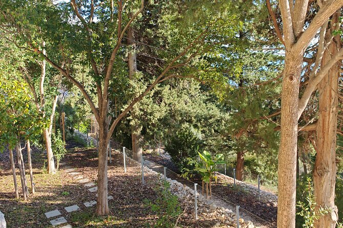 Secret Marjan Park Hiking Tour in Split - What to Bring (So You Don’t Hate the Hike)