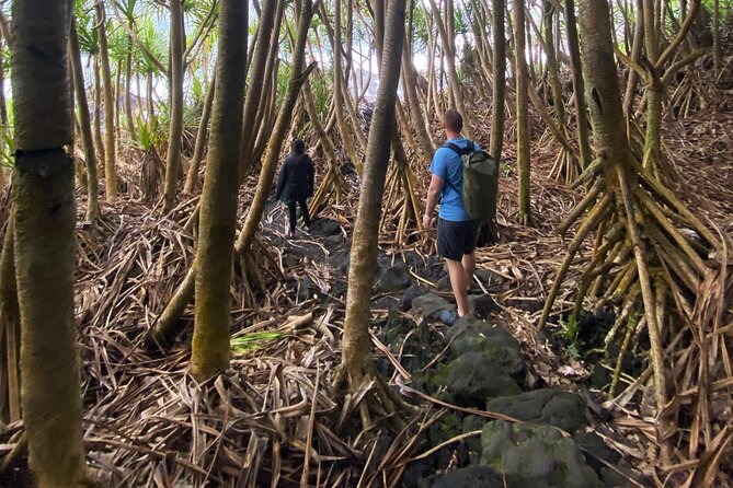 Secret Tide Pool Hike - Jungle & Coast - Private - Why This Secret Tide Pool Hike Works So Well