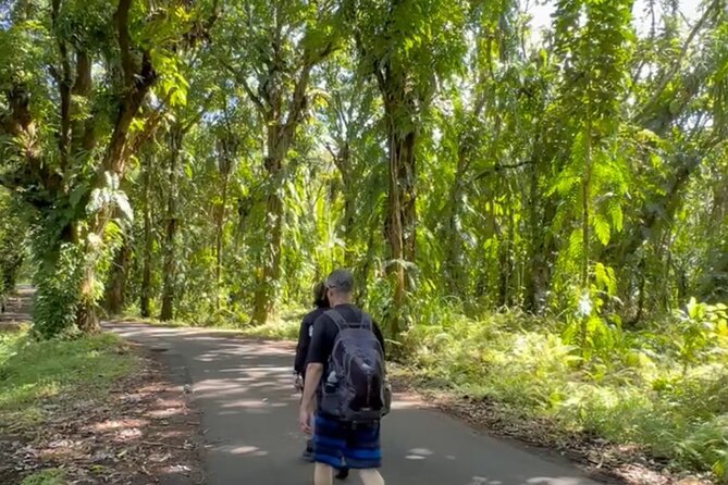 Secret Tide Pool Hike - Jungle & Coast - Private - When the Pool Isn’t Swimmable: What the Guide Will Do Instead