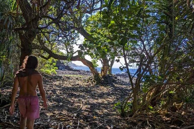 Secret Tide Pool Hike - Jungle & Coast - Private - Bugs, Ticks, and Sunscreen: Keep It Simple