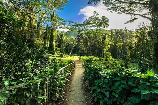Self guided Hike Trail to Nature Walk & Waterfall - Why Manoa Falls feels like a real Oahu reset for $79
