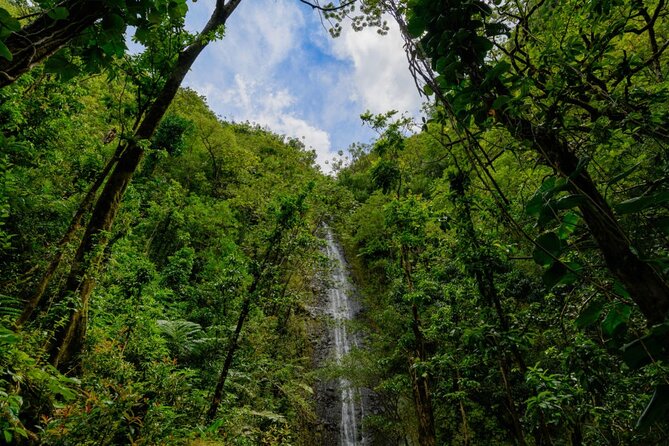 Self guided Hike Trail to Nature Walk & Waterfall - Who should book this hike, and who might want to reconsider