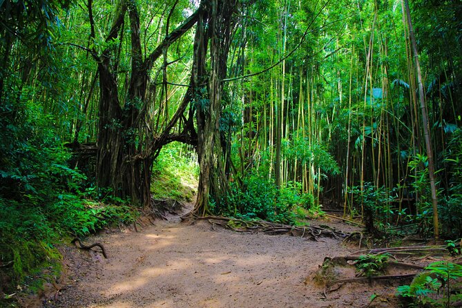 Self guided Hike Trail to Nature Walk & Waterfall - Practical packing list (based on what helps most on this trail)