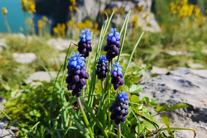 Semi – Private Tour at Cape of Rodon; Hidden Beaches & History - Starting in Tirana: pickup that saves your morning