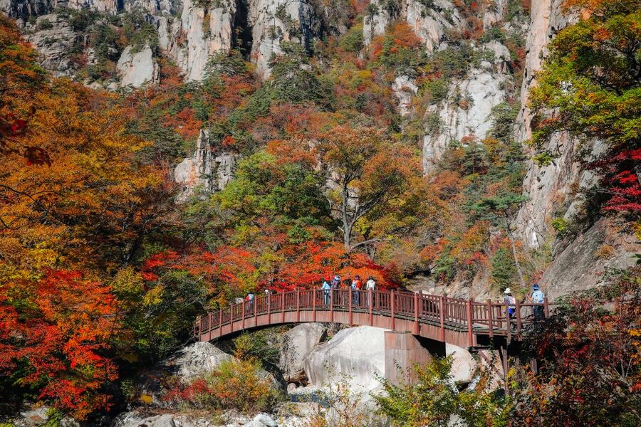 Seoul: Mt Seorak + Naksansa Temple or Nami Island Group Tour - Key highlights at a glance