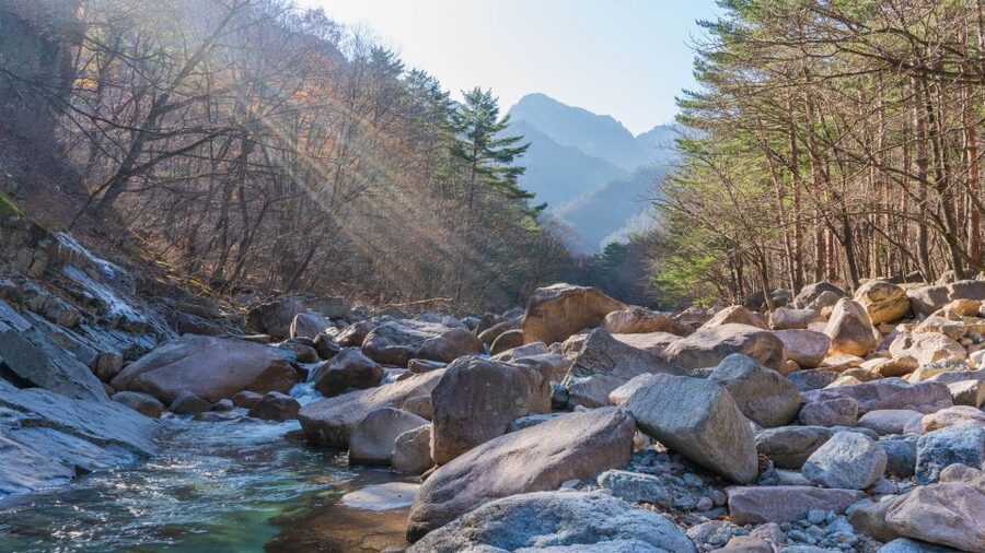 Seoul: Mt Seorak + Naksansa Temple or Nami Island Group Tour - Mt Seorak and the two choices: Naksansa Temple or Nami Island