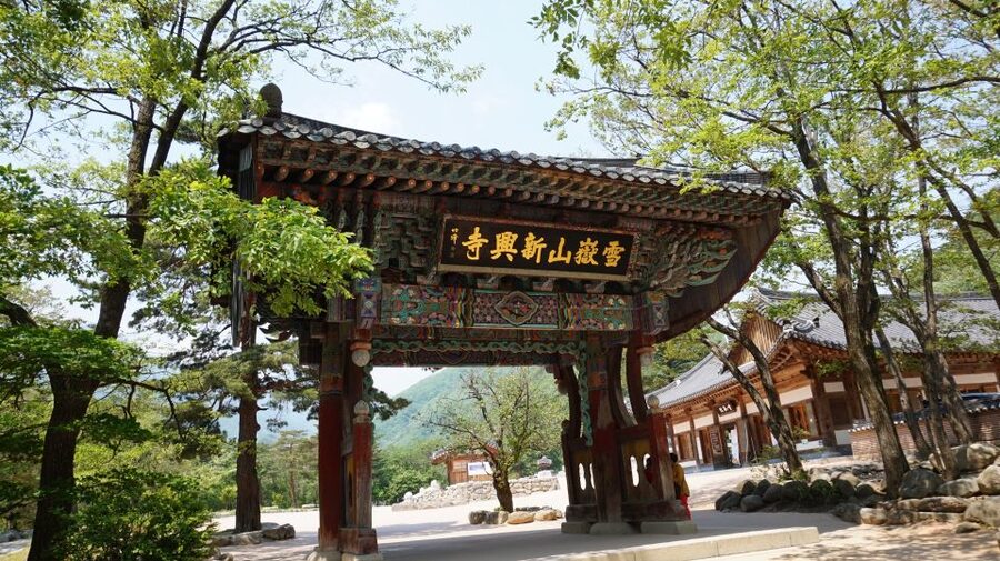 Seoul: Mt Seorak + Naksansa Temple or Nami Island Group Tour - Nami Island option: half-moon walks, film vibes, and animal sightings