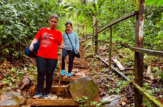 Seven Sisters Falls Hike / Annandale Falls / Grand Etang National Park & Lake - Who this tour is best for (and who should choose differently)