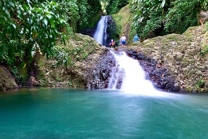 Seven Sisters Falls Hike / Annandale Falls / Grand Etang National Park & Lake - Annandale Falls: the waterfall warm-up and your first nature payoff