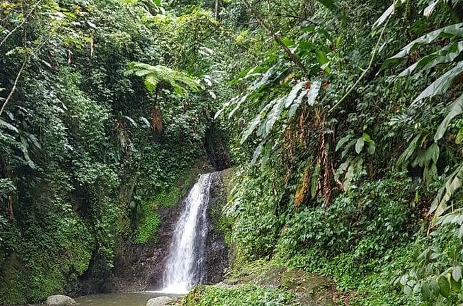 Seven Sisters Waterfalls Hike - Wildlife, plants, and the valley you walk through