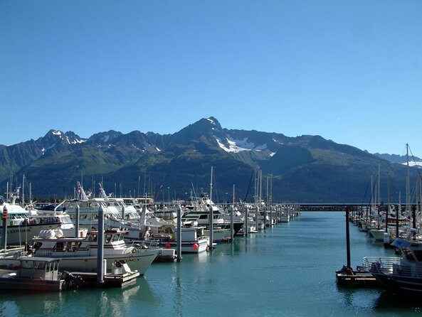 Seward Wilderness Hiking - Key Highlights You’ll Notice Fast